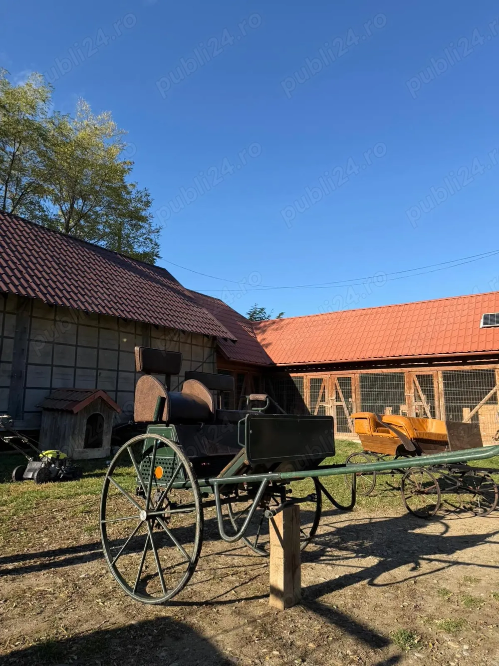 Vand Trasura   Sareta , productie Germania