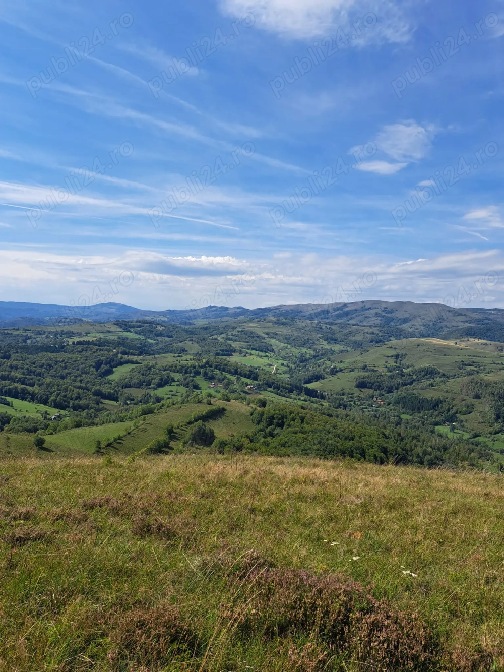 Vand teren pe transalpina de apuseni (râmeț)