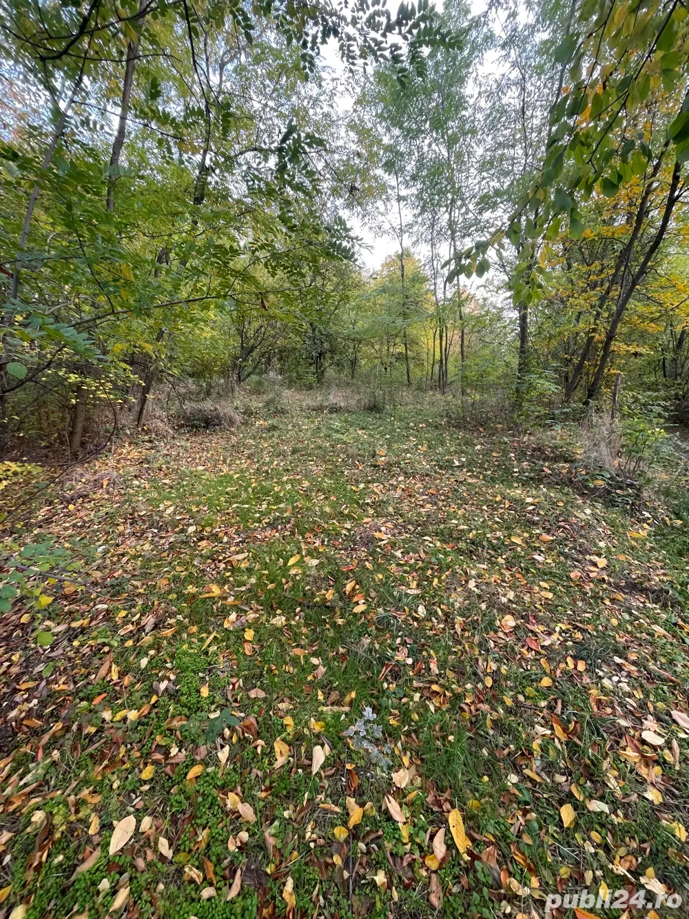 Teren in apropierea autostrazii Pitesti-Sibiu 