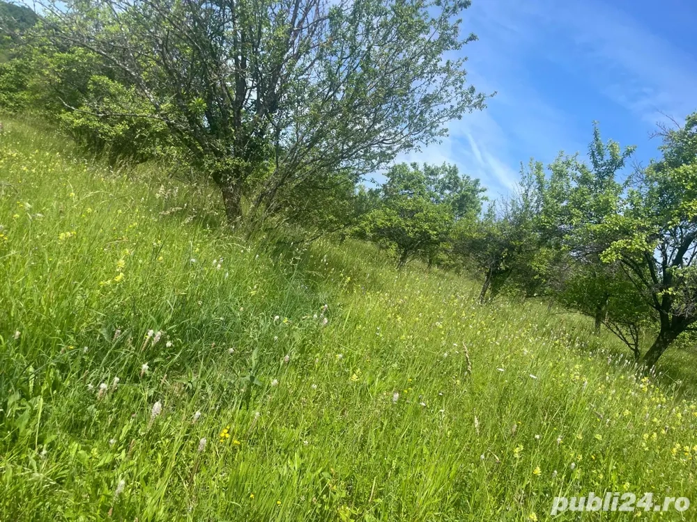 Teren cu peisaj superb in apropierea autostrazii Pitesti Sibiu 