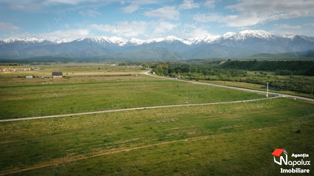 Teren superb zona Valea Avrigului