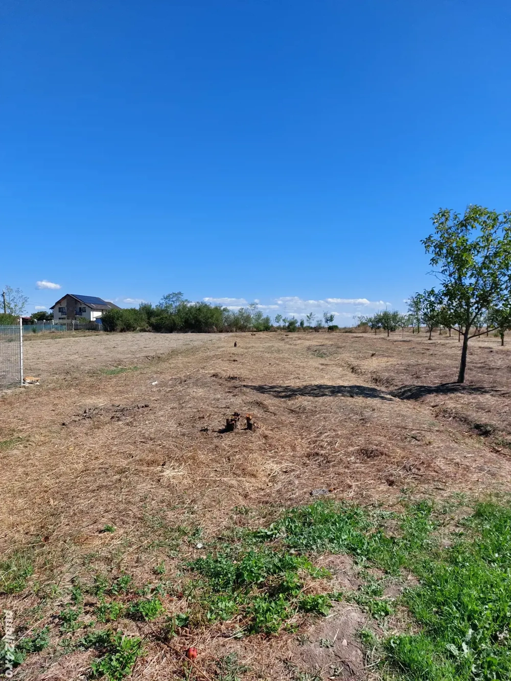 De vânzare teren intravilan   Teiu Vale, jud. Argeș