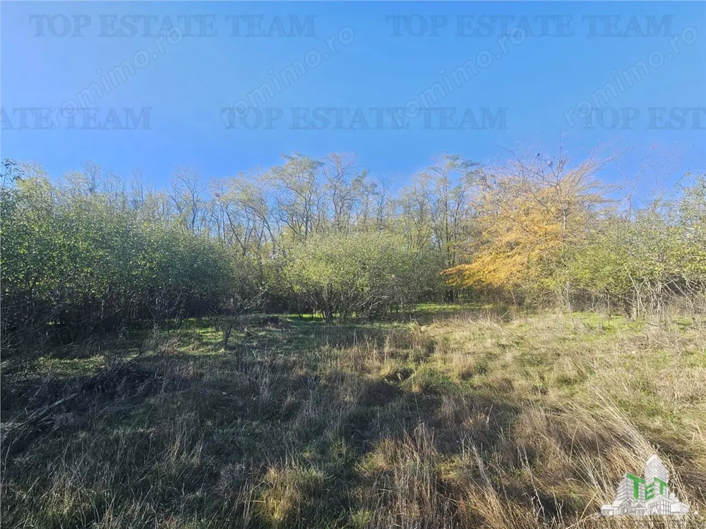 SUPER-PRET Teren 1ha intravilan intre A0, padure si raul Sabar