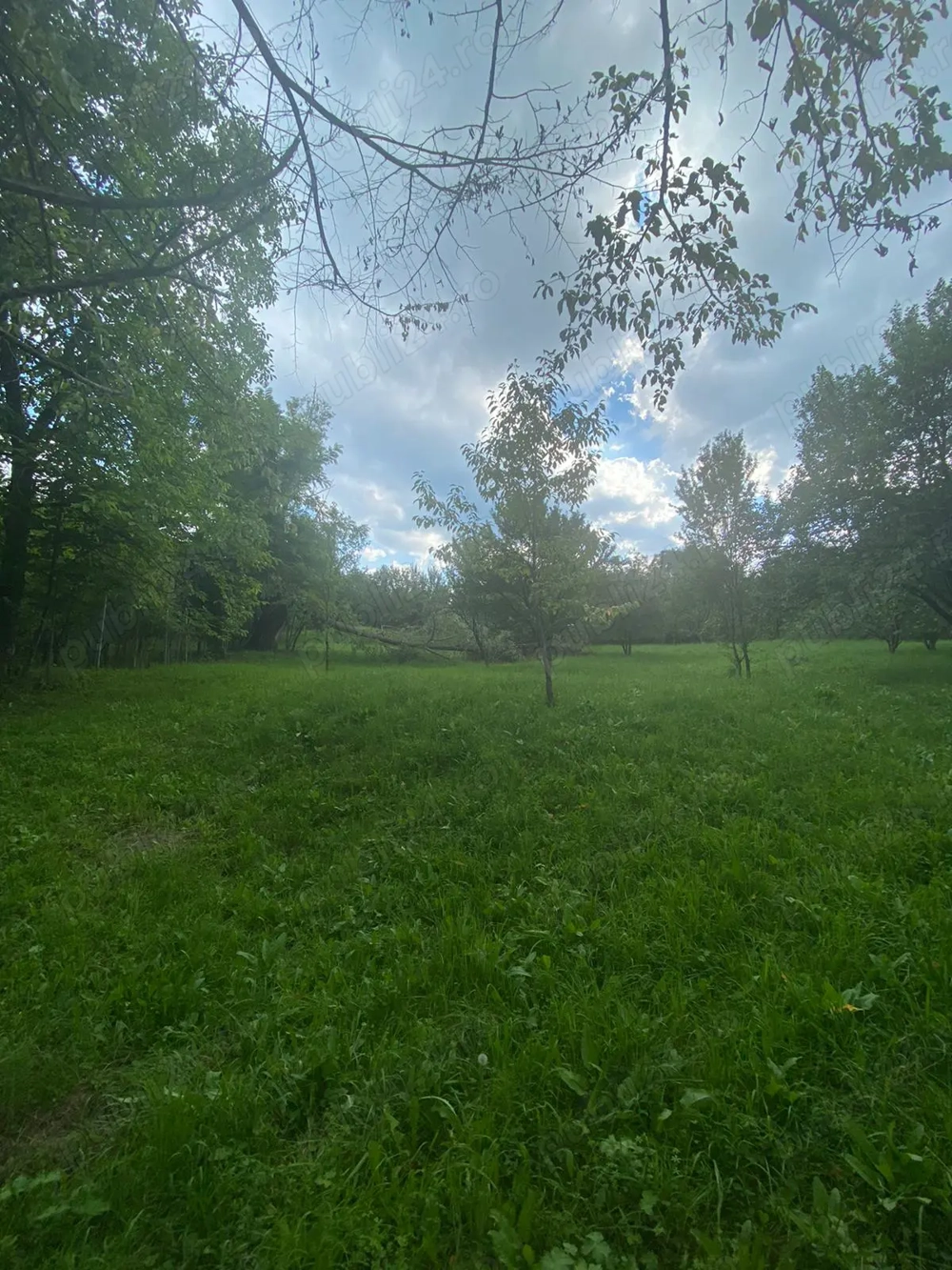 Vand teren Breaza 3325 mp