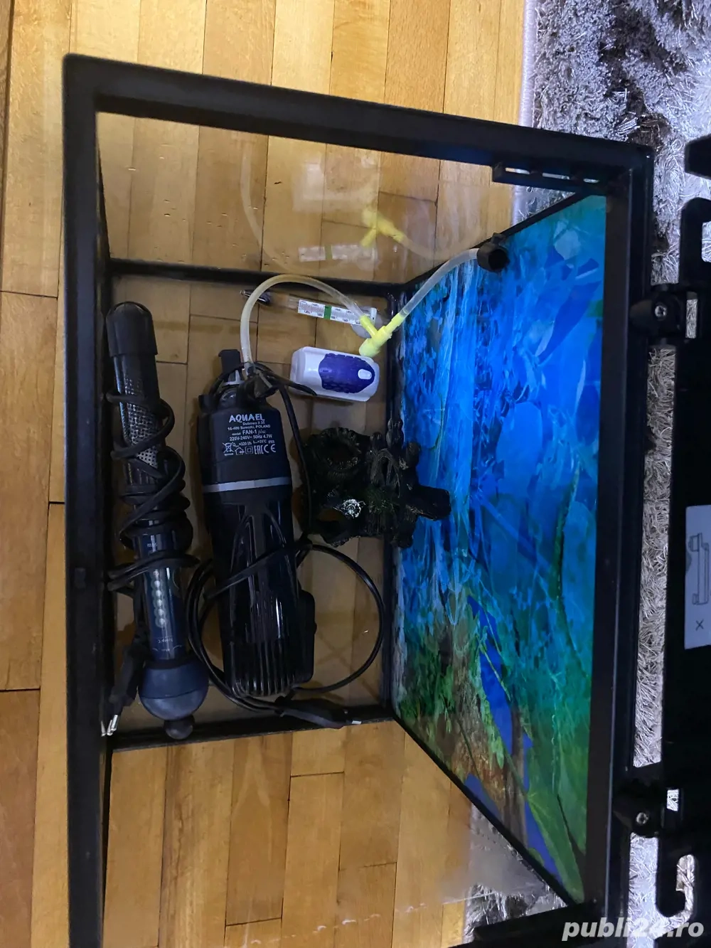 acvariu + accesorii