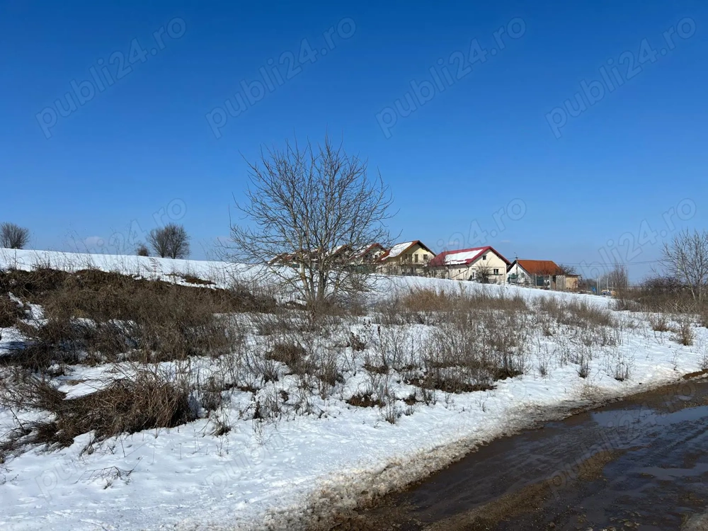 Loturi teren intravilan Balotesti 