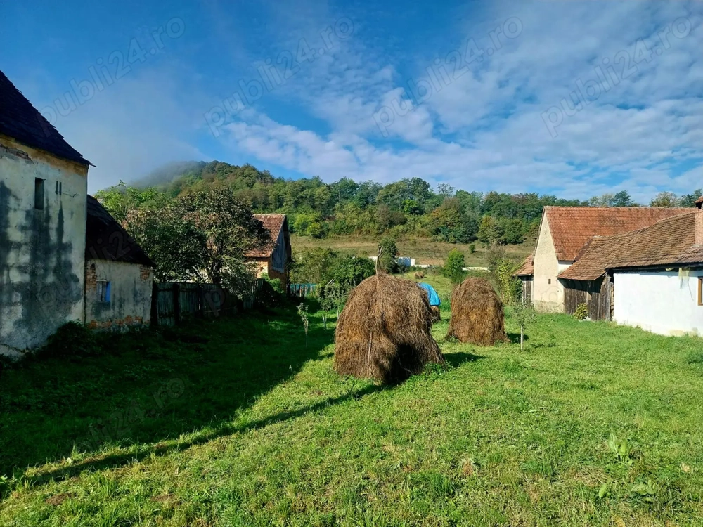 Teren intravilan, loc de casa