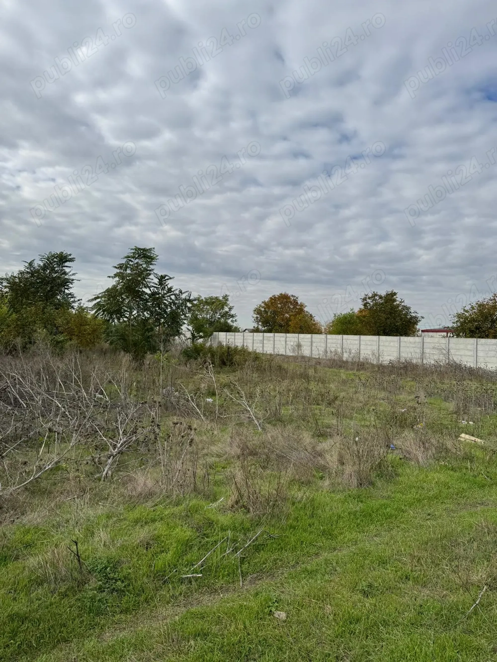 Vanzare Teren  intravilan 2600mp Ganeasa 