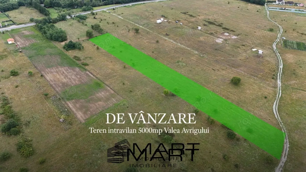 Teren intravilan 5000mp Valea Avrigului Teren intravilan 5000mp Valea Avrigului