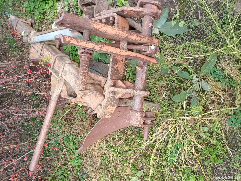 Vand plug romanesc pp3