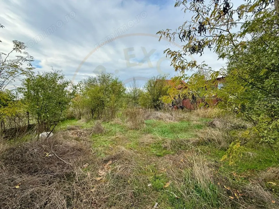 Teren Domnesti 1207 mp 