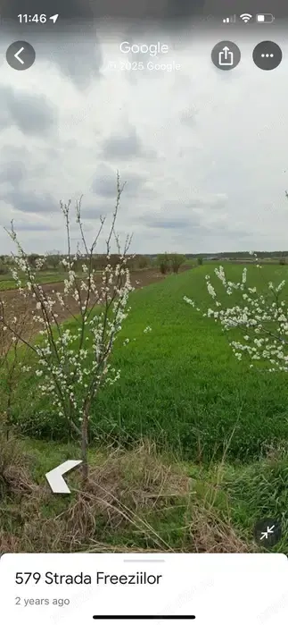 Teren Intravilan Gradistea Giurgiu Teren Intravilan Gradistea Giurgiu