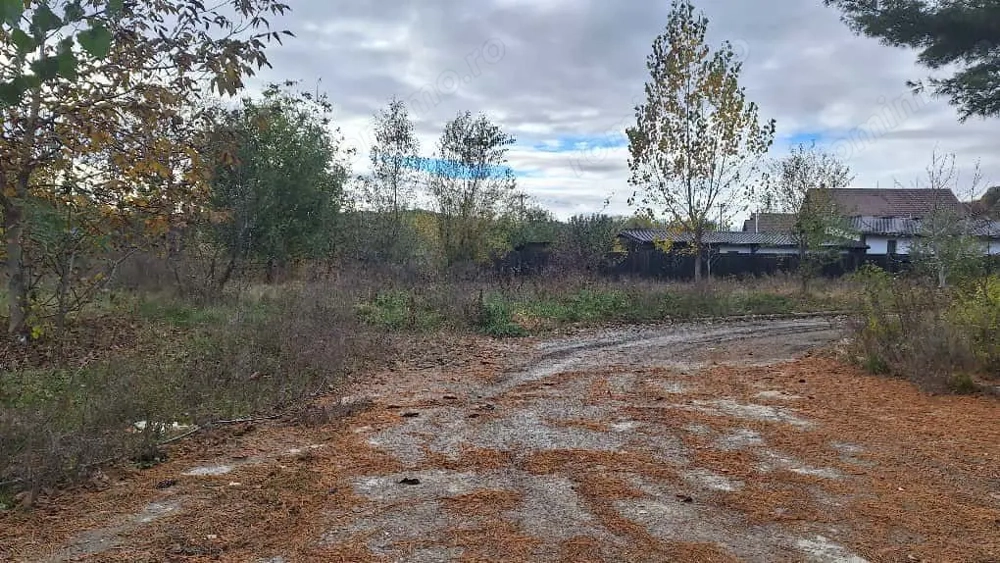 Teren Intravilan Curtea de Arges