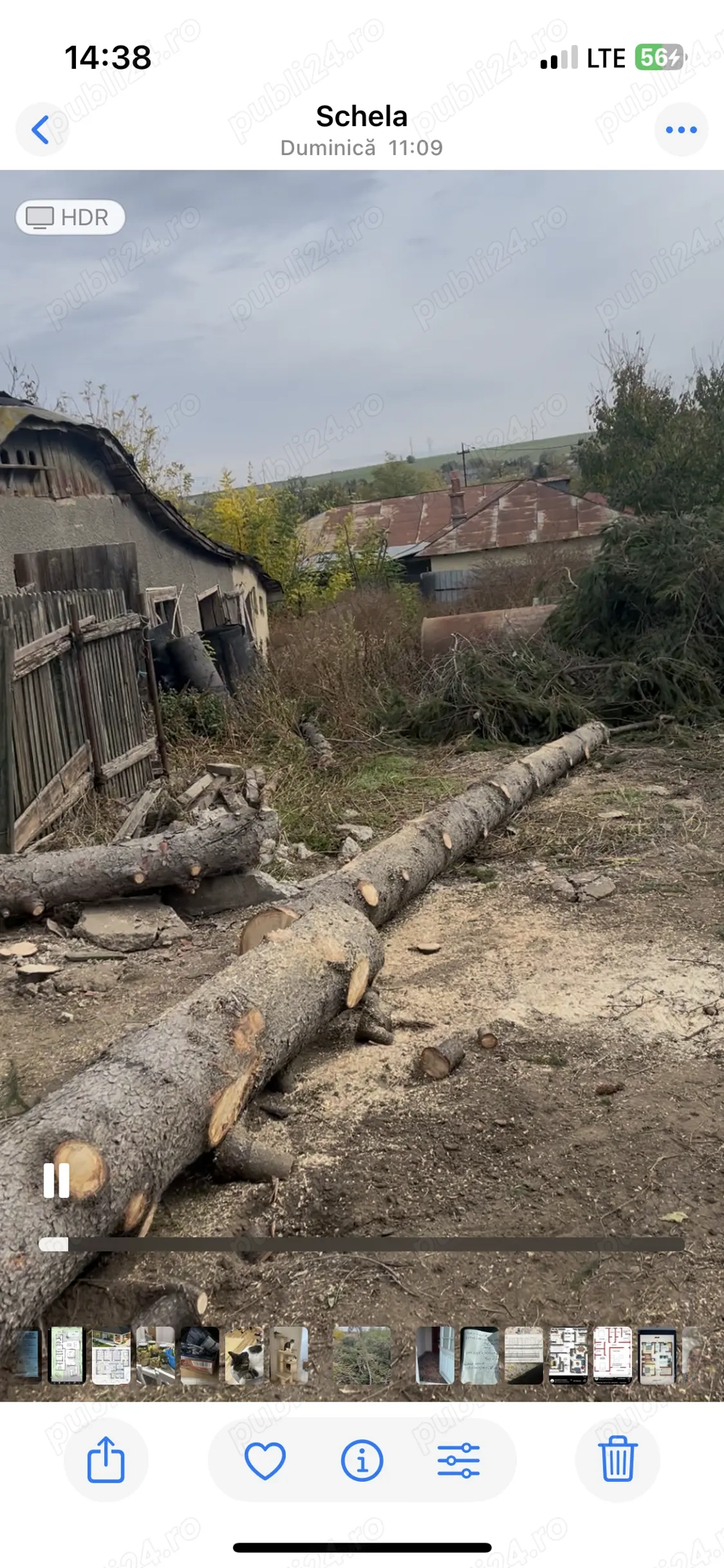 Vind bușteni de brad