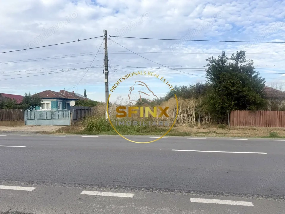 Teren 3905 mp Manasia, pozitie la drum judetean 