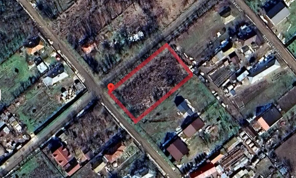 Teren Ghimpați Camineasca jud Giurgiu 1000 m2 8000  