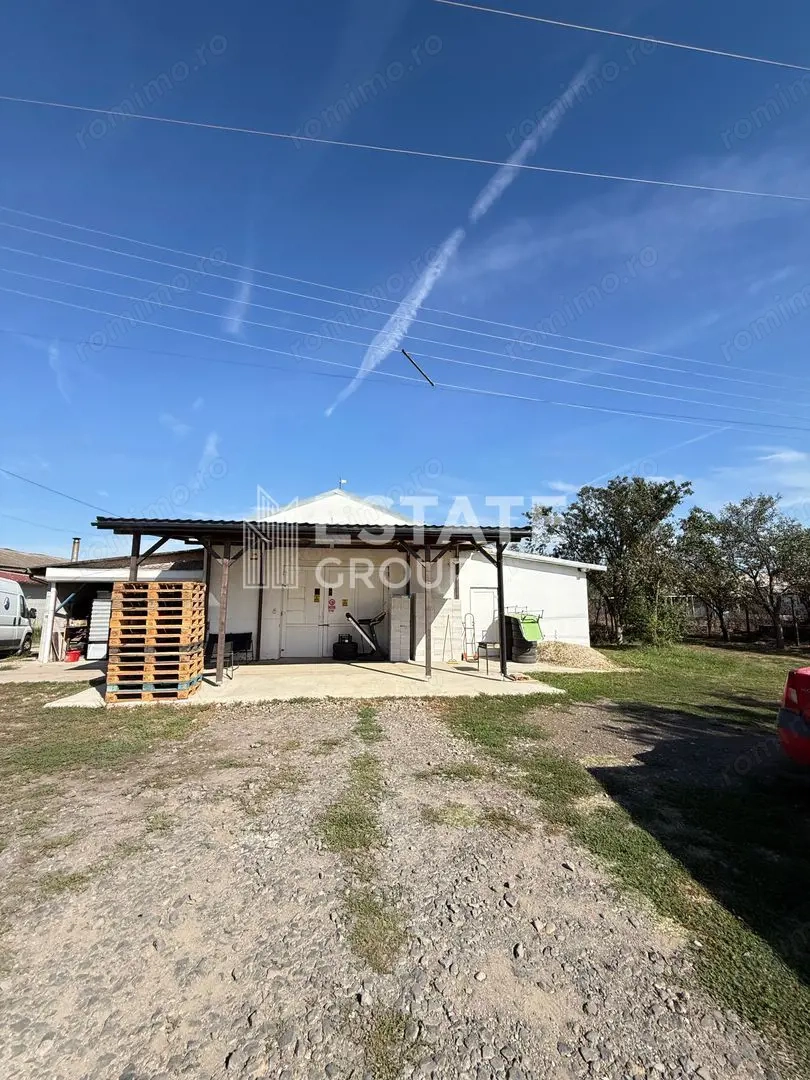 Hala Bucovat pentru productie sau depozitare