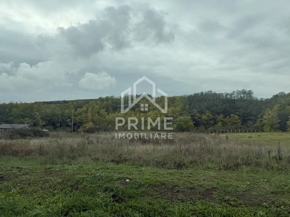 Teren intravilan 2100 mp | UTILITATI | Teleac | 3 fronturi |