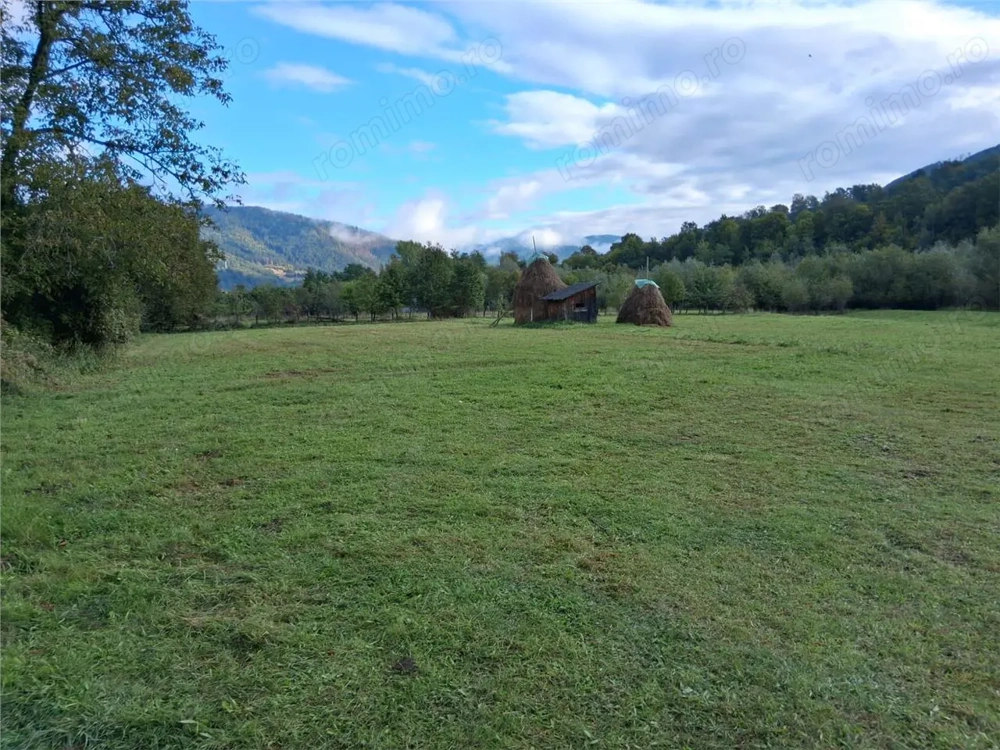 Teren intravilan 6000 mp, Pangarati, cu iesire la raul Bistrita