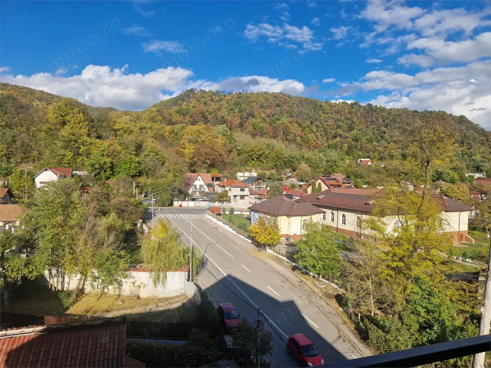 Ramnicu Valcea - Stirbei  Voda - Raul Olanesti