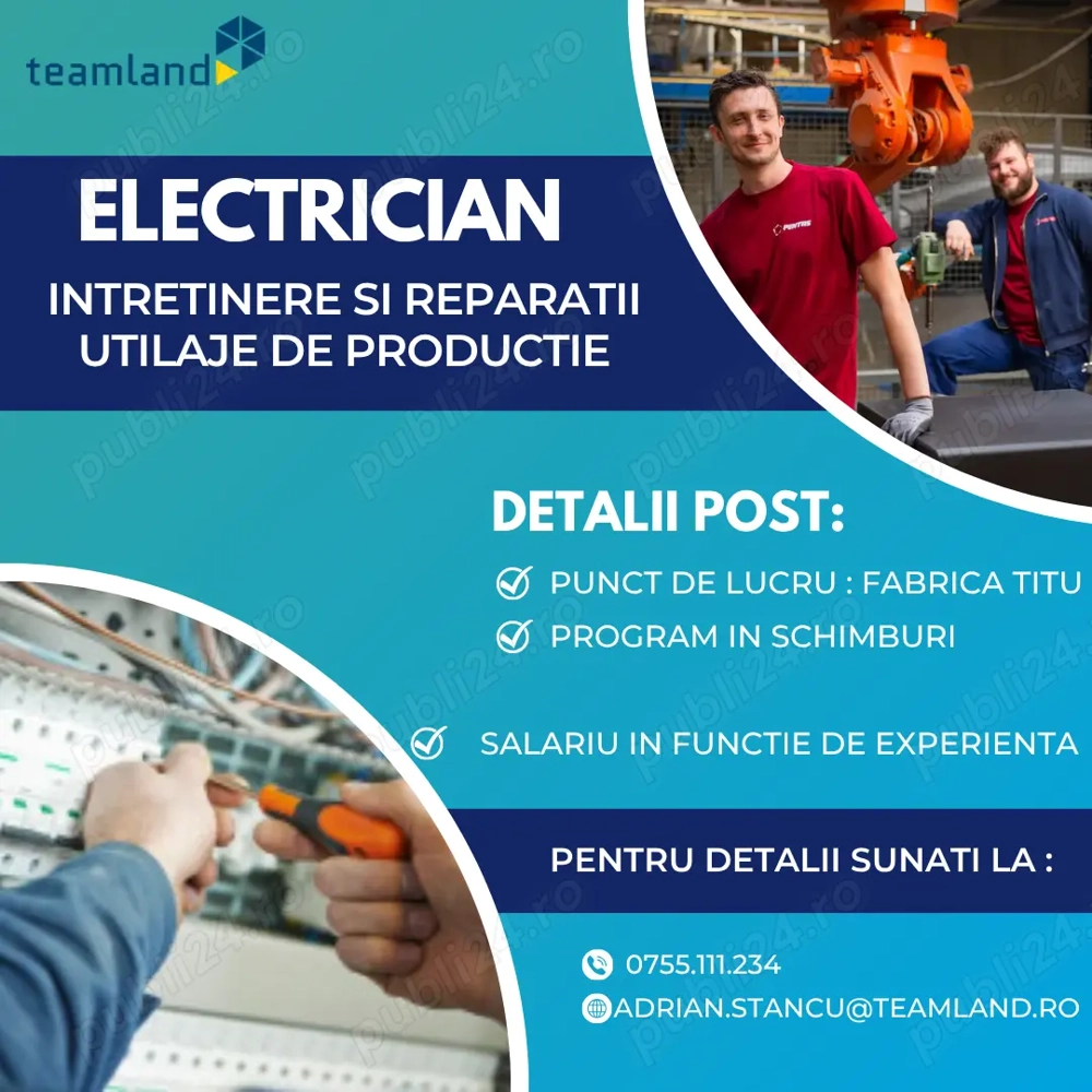 Electrician - Fabrica Titu