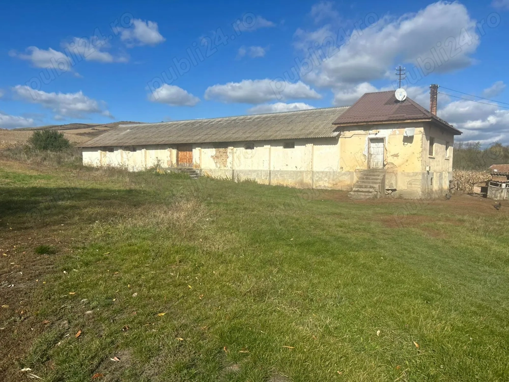De vânzare hală + teren în Nima Rîciului, jud Mures