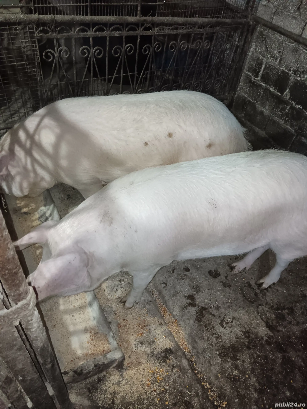 De vînzare De vînzare