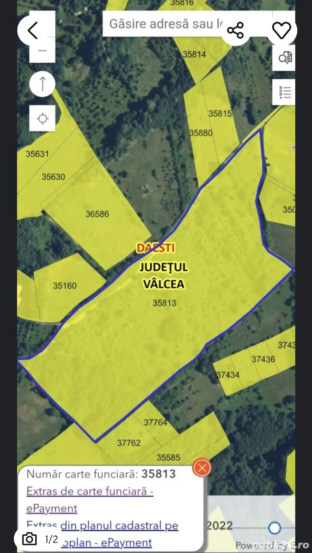 Teren Daesti   Lacuri