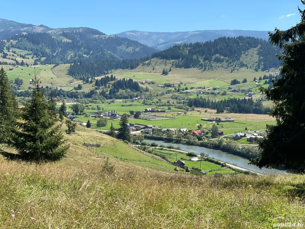 teren la munte langa Vatra Dornei vând    schimb   rate