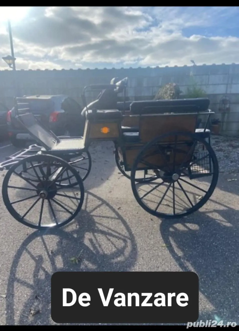 De Vinzare Trasura De Vinzare Trasura