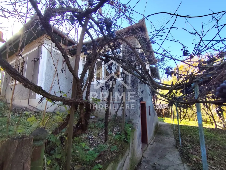 Casa Individuală 3 camere| 769 mp teren| zona Blaj Casa Individuală 3 camere| 769 mp teren| zona Blaj