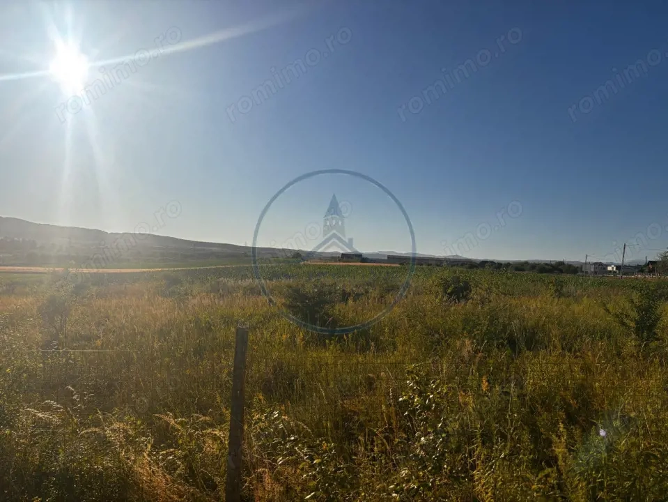 Teren Intravilan 5100 mp Sieu Magherus