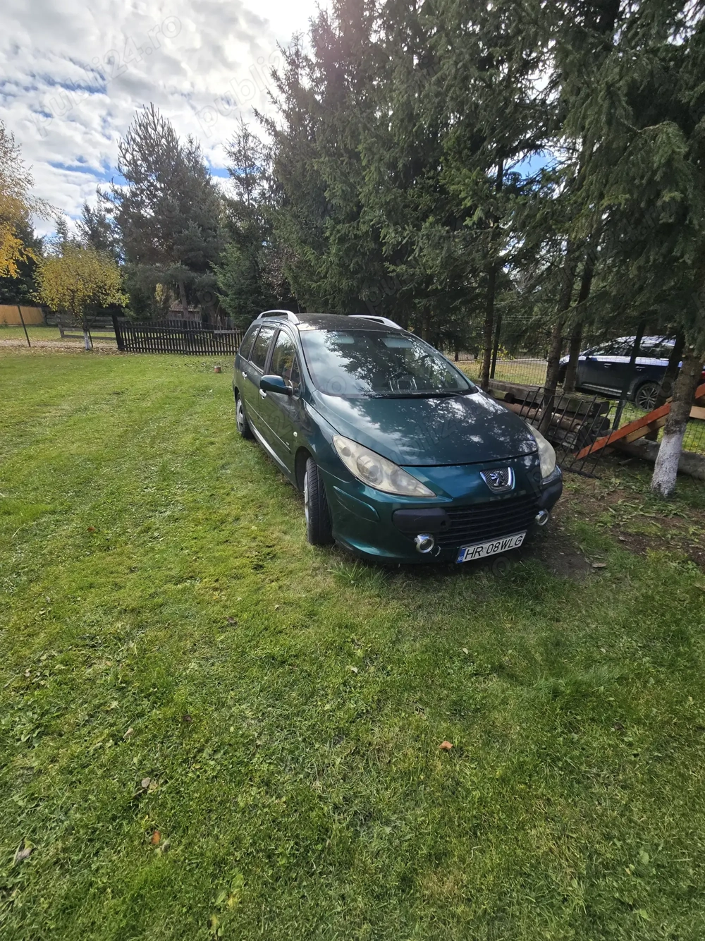 Vand Peugeot 307 swi