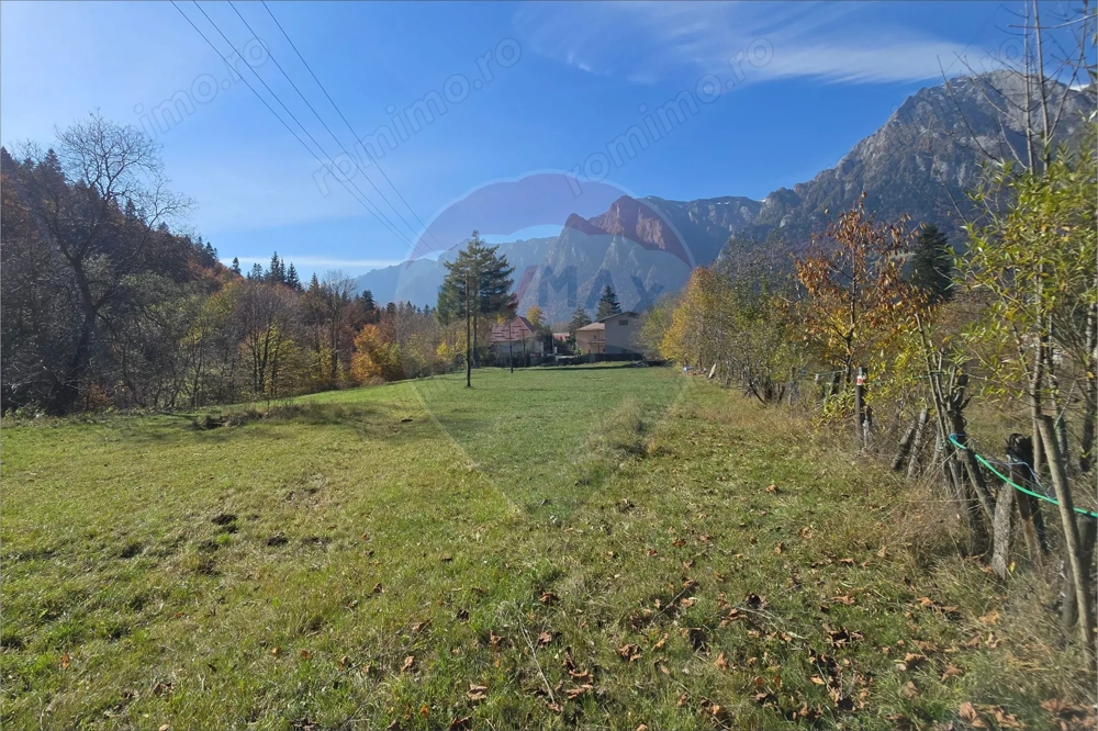 Teren intravilan 1.117 mp cu vedere spectaculoasă spre Crucea Caraiman