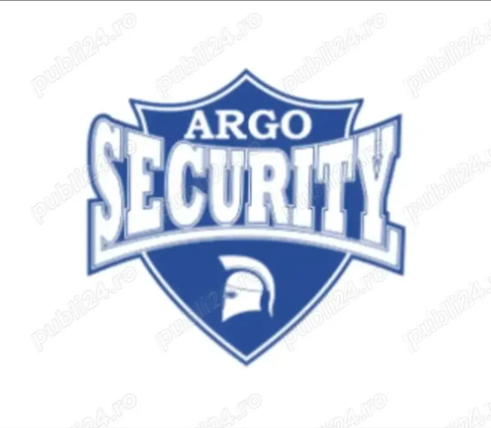 Sef de tura serviciu paza