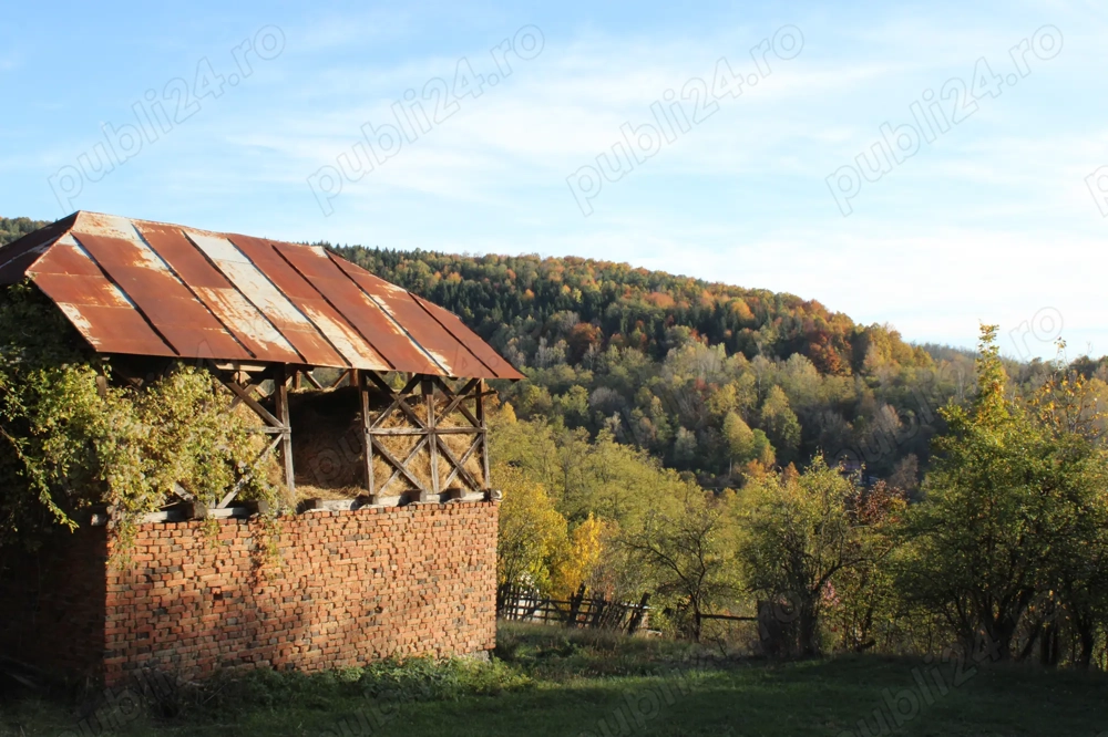Teren intravilan cu casa veche - 2600 mp - Schitu Matei Teren intravilan cu casa veche - 2600 mp - Schitu Matei