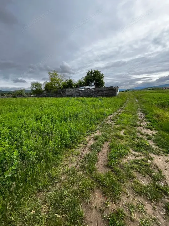  Teren extravilan de vânzare – 2.800 mp, Livezile, județul Bistrița-Năsăud