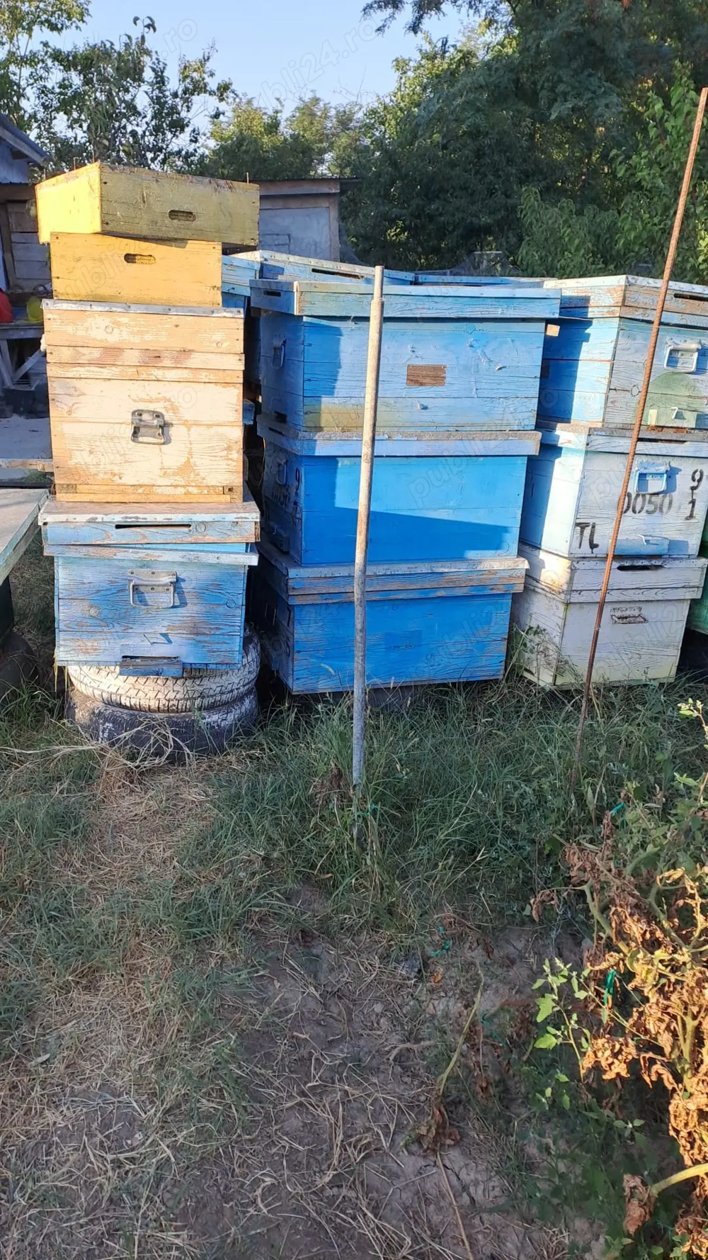 Vând Lazi si rame stupi albine