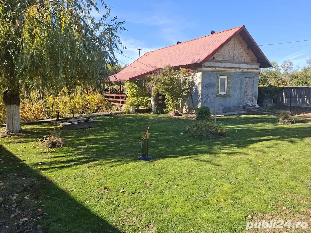 Casă cu teren 3.000 mp   vie, livadă, utilități, acte în regulă!