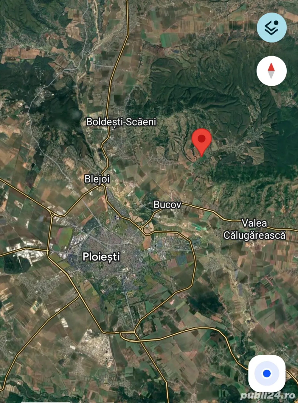 Teren cu plantatie de Paulownia