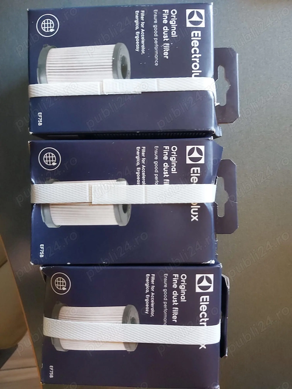 Filtru aspirator Electrolux