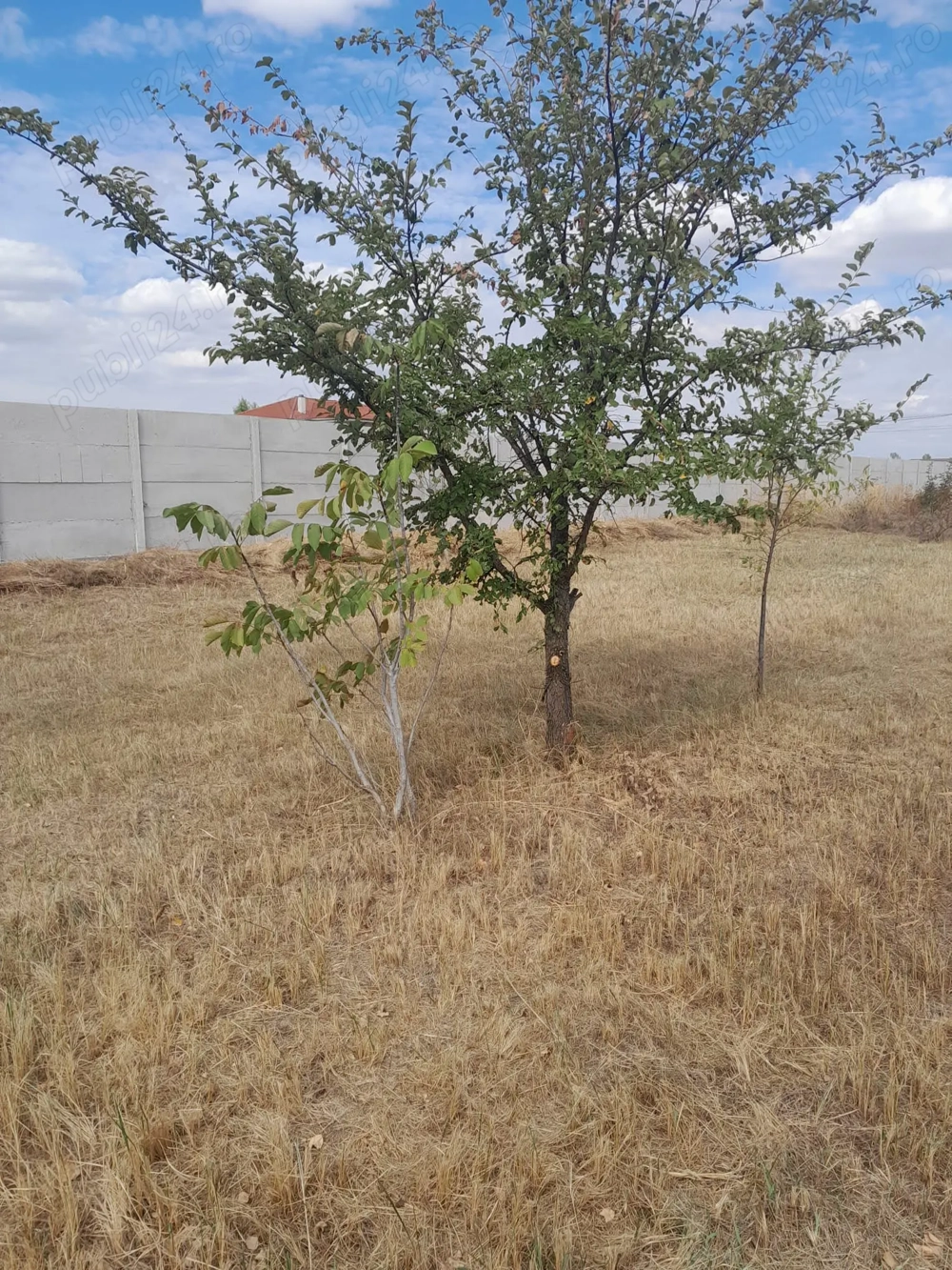 Teren de vanzare in Domnesti