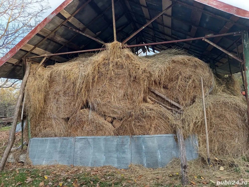 Vand baloti de fan 120x120.