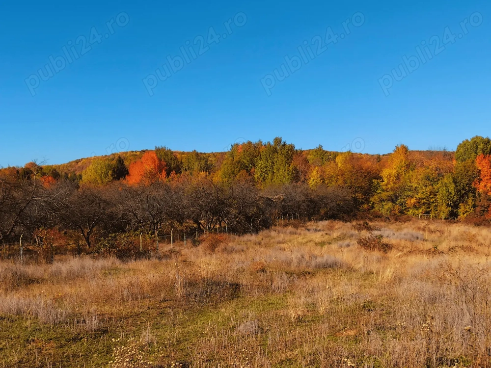 Teren intravilan 500 mp Câmpina privelisti panoramice, între pădure și lac