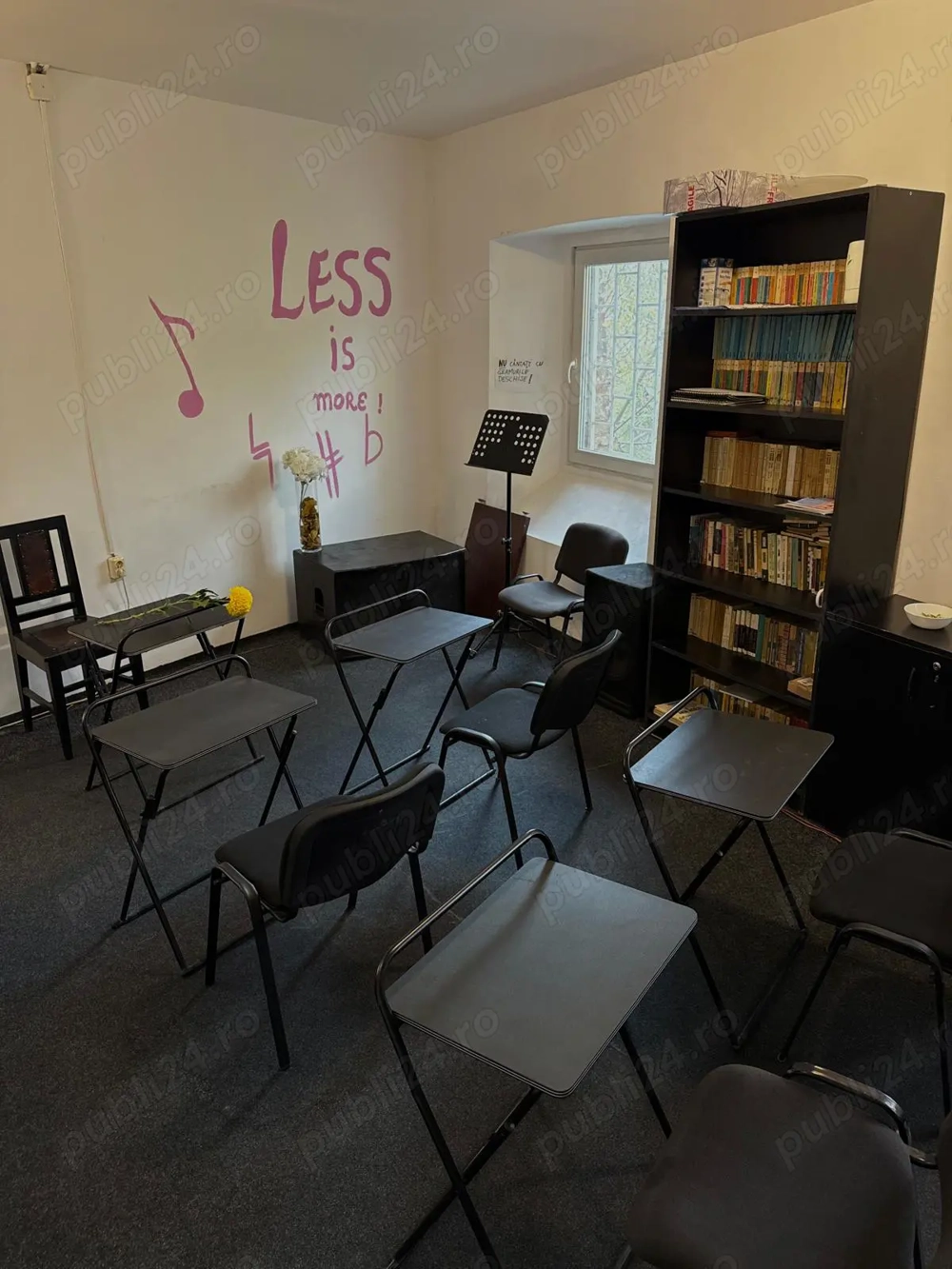 Meditatii Limba Romana pt Evaluare Nationala si Bacalaureat