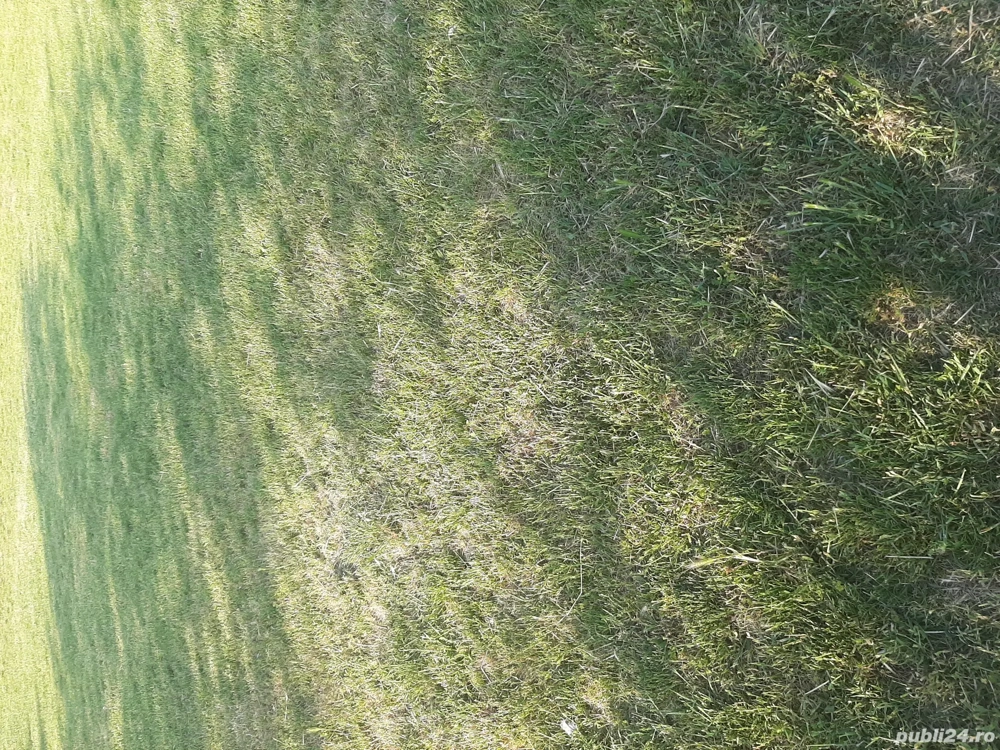 Teren agricol extravilan 