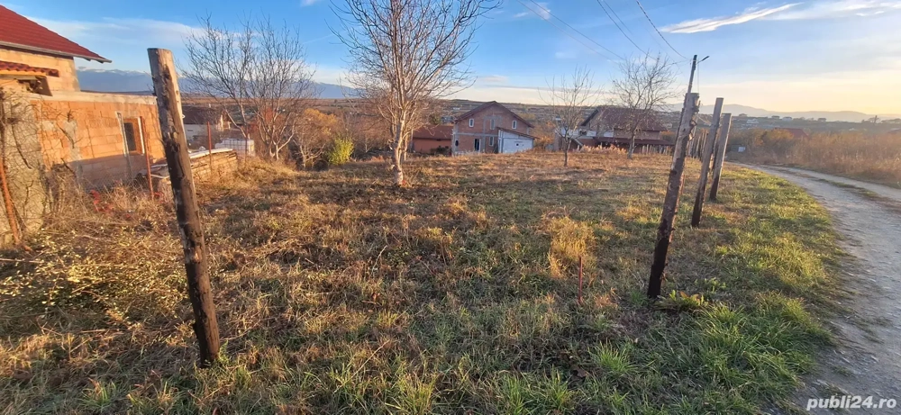 Teren intravilan Daia Noua