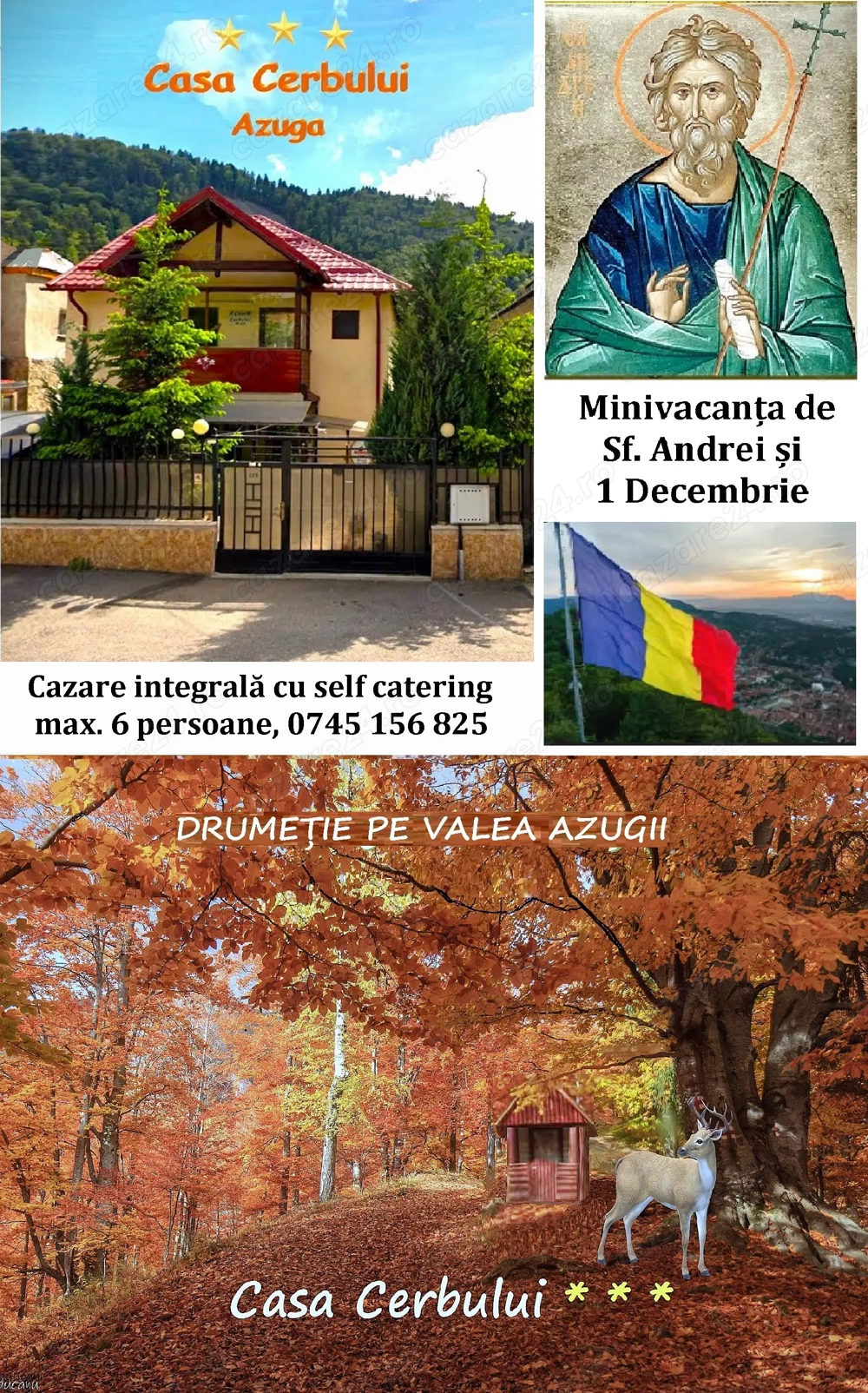 Apartament vilă Casa Cerbului*** AZUGA 
