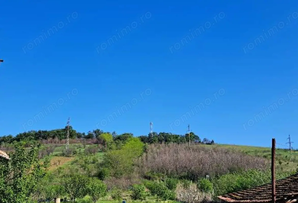 Cota de 1/2 din teren extravilan, comuna Rogova, Jud Mehedinti CP2549956