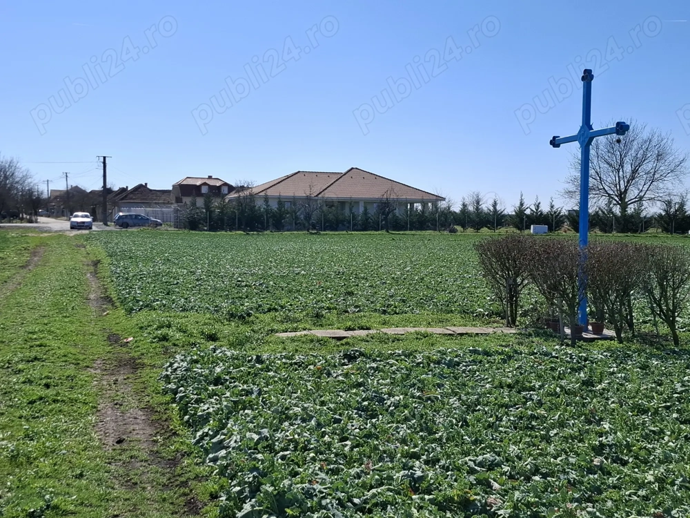 Teren intravilan Zimandul Nou 13600 mp aproape de utilitati